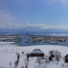 福島潟冬景Ⅱ
