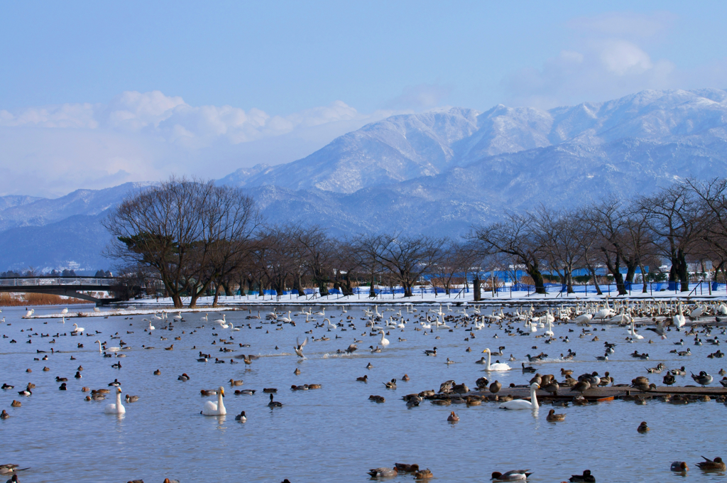 瓢湖