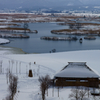 福島潟冬景Ⅰ