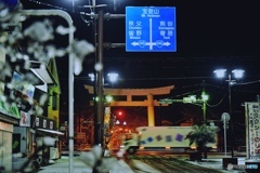 宝登山