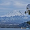松と雪、そして富士