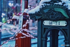 は-14
