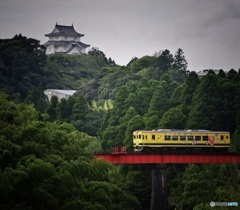 電車これくしょん　その2 いすみ鉄道