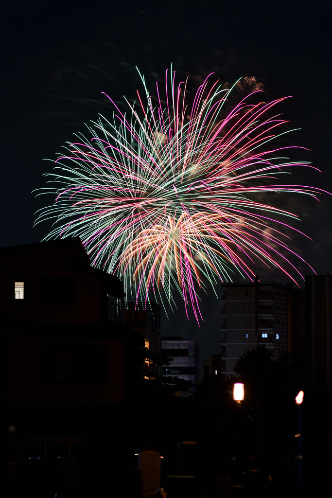 夜空を彩る大輪