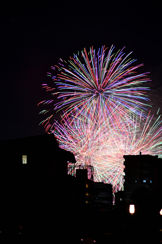 夜空を彩る大輪