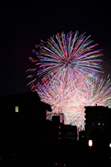 夜空を彩る大輪