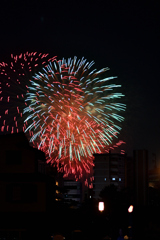 夜空を彩る大輪