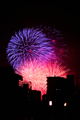 夜空を彩る大輪