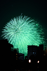 夜空を彩る大輪