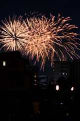 夜空を彩る大輪