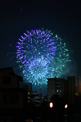 夜空を彩る大輪