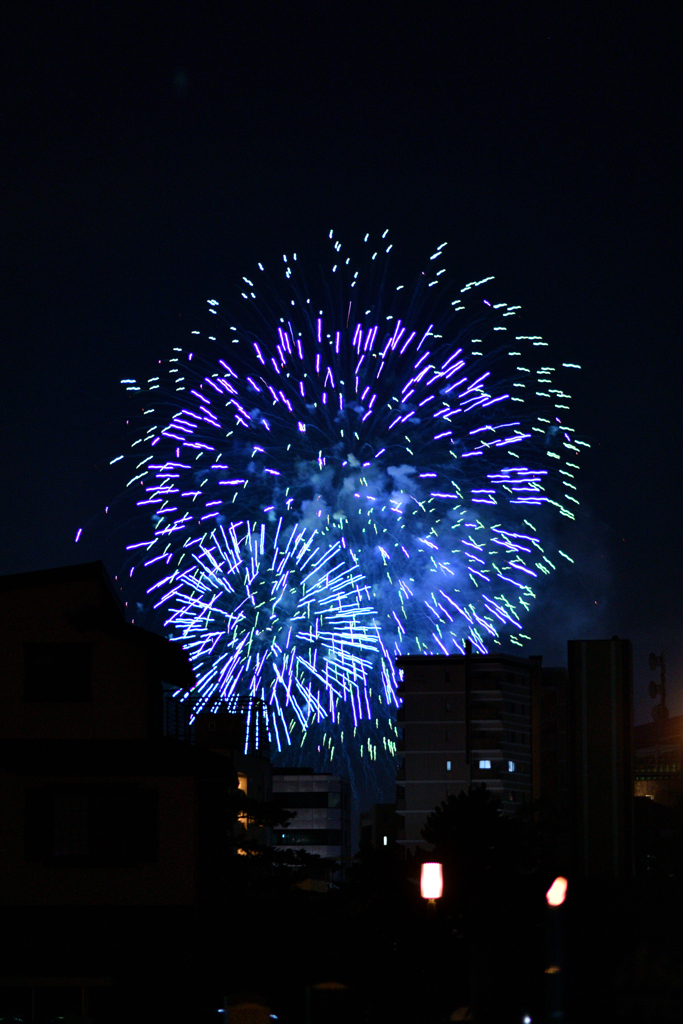 夜空を彩る大輪
