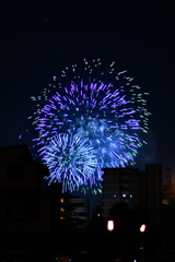 夜空を彩る大輪