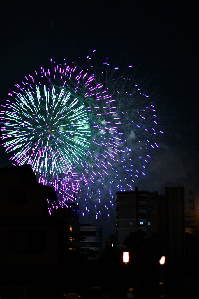 夜空を彩る大輪