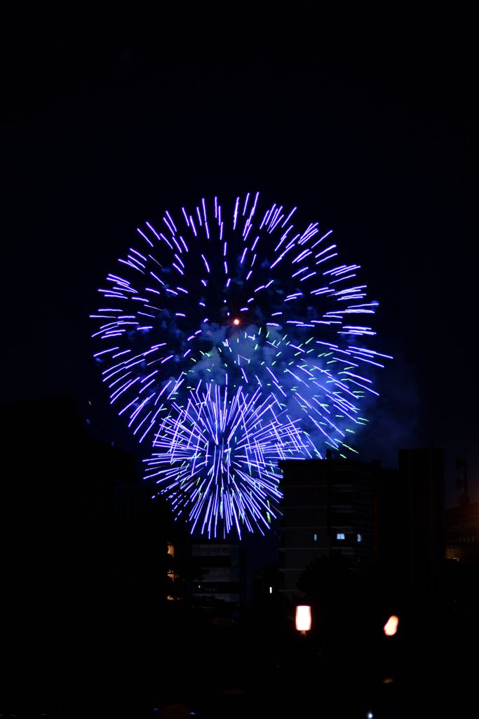 夜空を彩る大輪