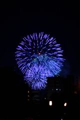 夜空を彩る大輪