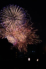 夜空を彩る大輪