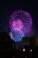 夜空を彩る大輪