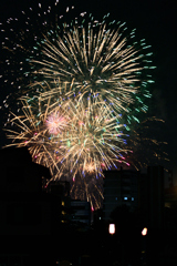 夜空を彩る大輪