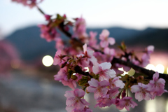 Spring Has Come