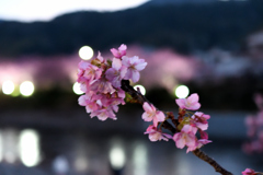 Spring Has Come