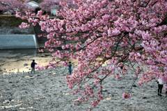 Spring Has Come.