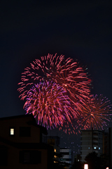 夜空を彩る大輪