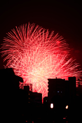 夜空を彩る大輪