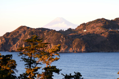 黄金崎