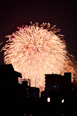 夜空を彩る大輪