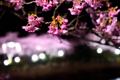 Spring Has Come