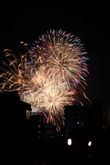 夜空を彩る大輪