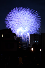 夜空を彩る大輪
