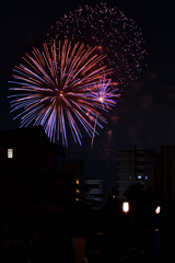 夜空を彩る大輪