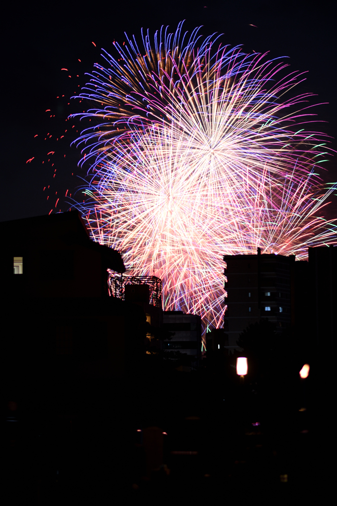 夜空を彩る大輪