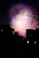 夜空を彩る大輪
