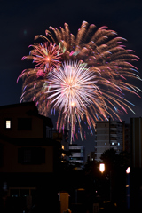 夜空を彩る大輪