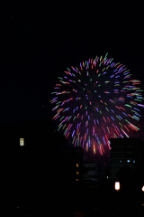 夜空を彩る大輪