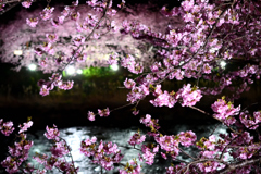 Spring Has Come