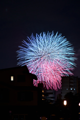 夜空を彩る大輪