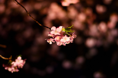 Spring Has Come