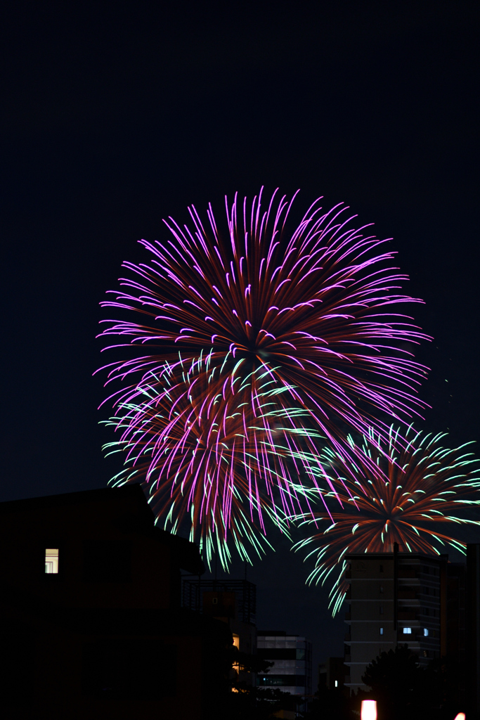 夜空を彩る大輪