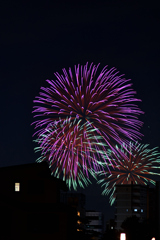 夜空を彩る大輪