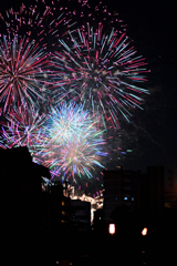 夜空を彩る大輪