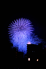 夜空を彩る大輪