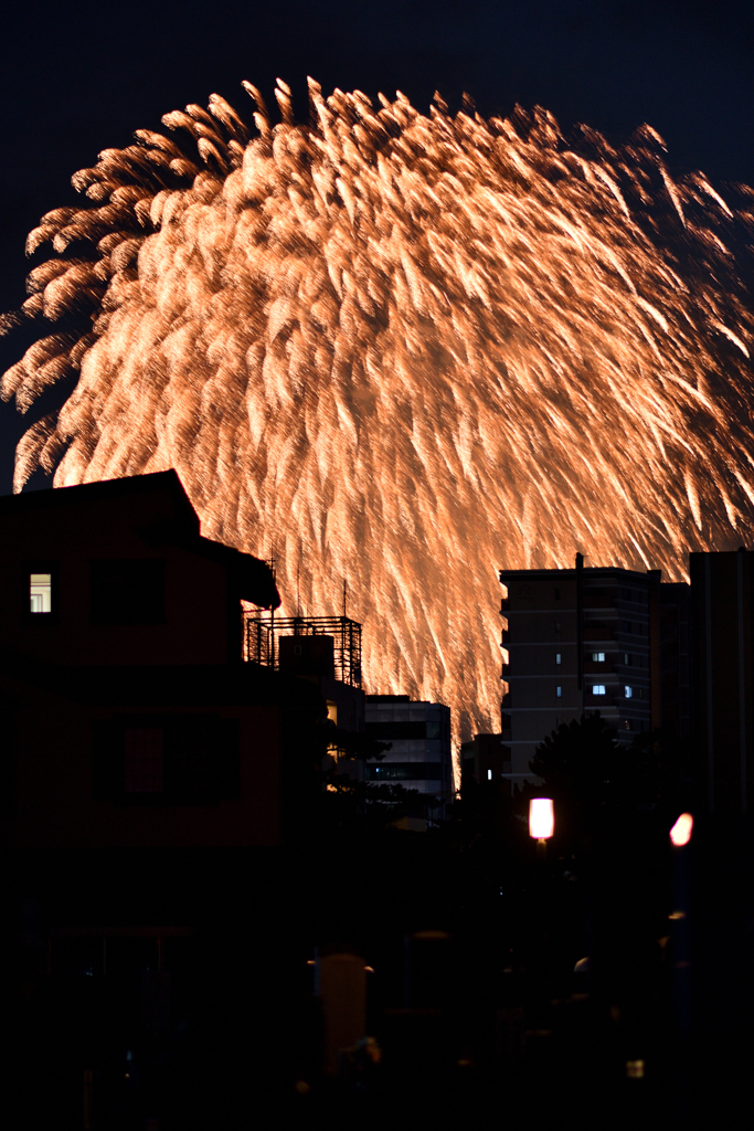 夜空を彩る大輪