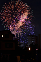 夜空を彩る大輪