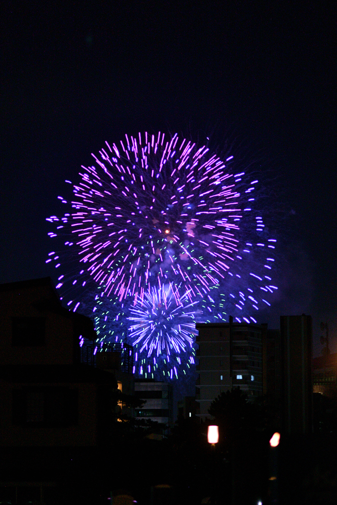 夜空を彩る大輪