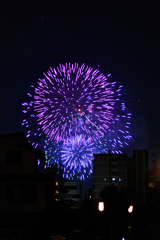夜空を彩る大輪