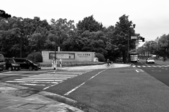 ひろしま美術館